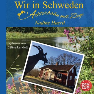 Wir in Schweden als Hörbuch