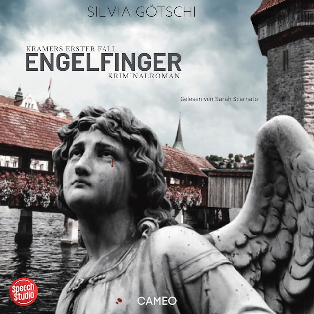 Buchcover für Engelfinger