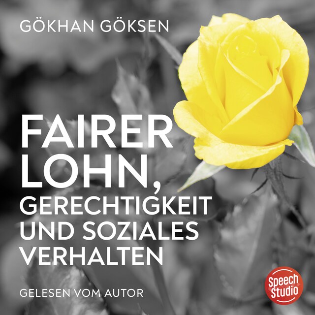 Book cover for Fairer Lohn, Gerechtigkeit und soziales Verhalten