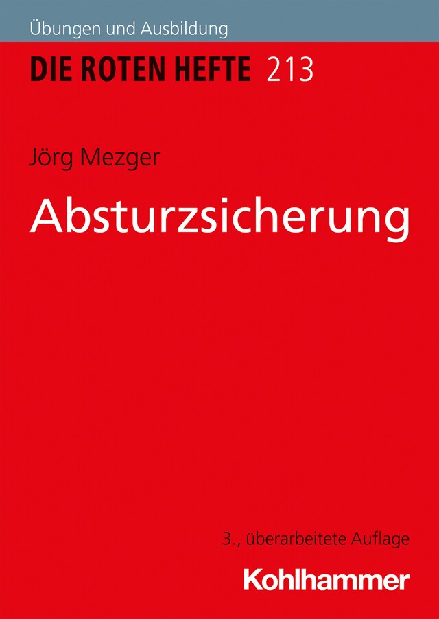 Buchcover für Absturzsicherung