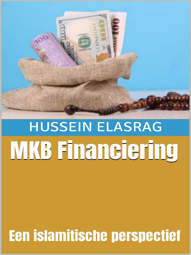 Buchcover für MKB Financiering