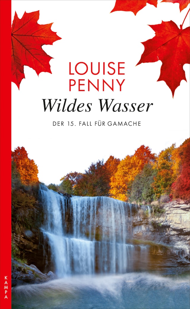 Buchcover für Wildes Wasser