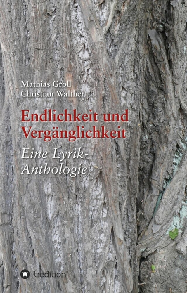 Portada de libro para Endlichkeit und Vergänglichkeit