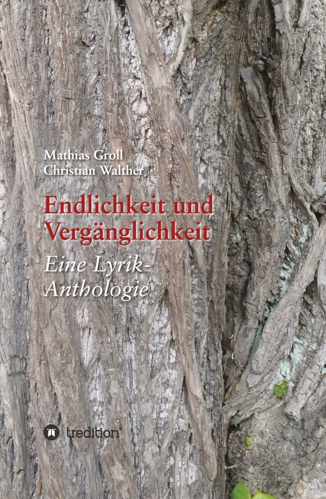 Buchcover für Endlichkeit und Vergänglichkeit