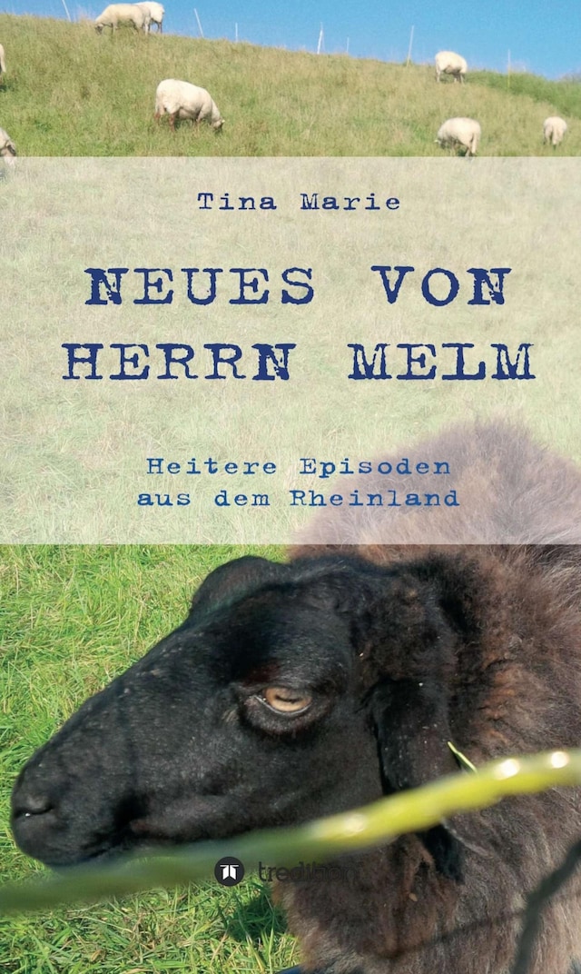 Bogomslag for Neues von Herrn Melm