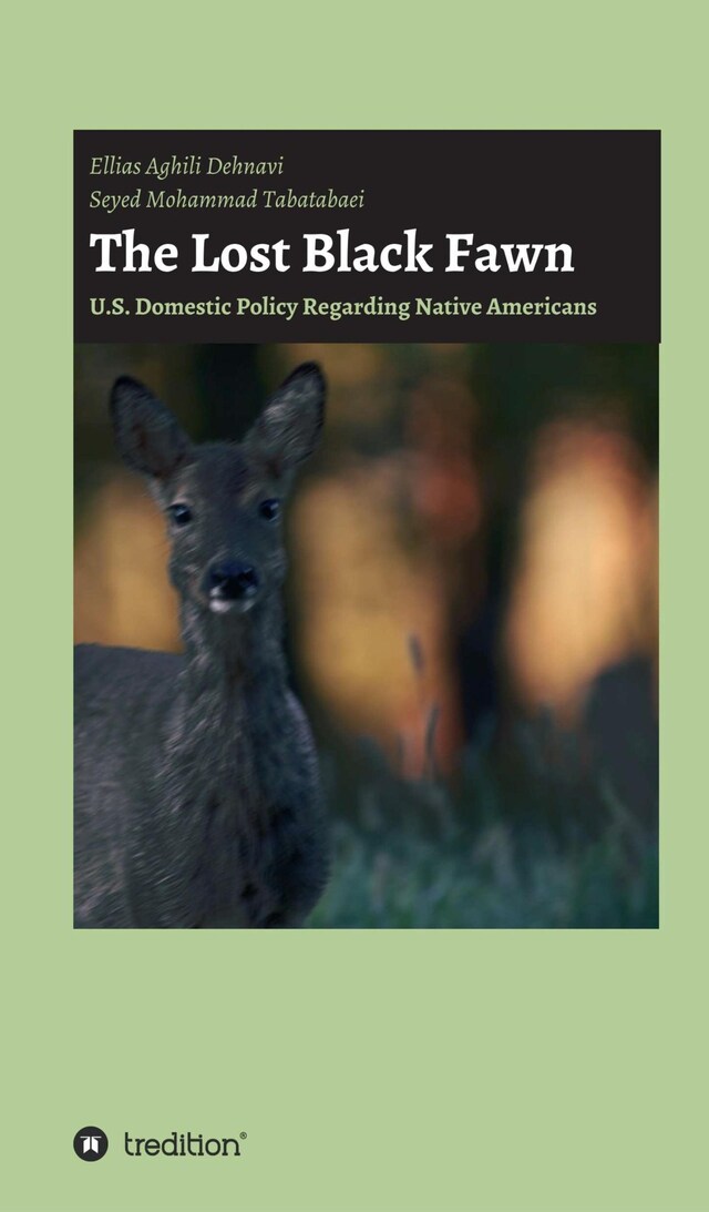 Book cover for The Lost Black Fawn