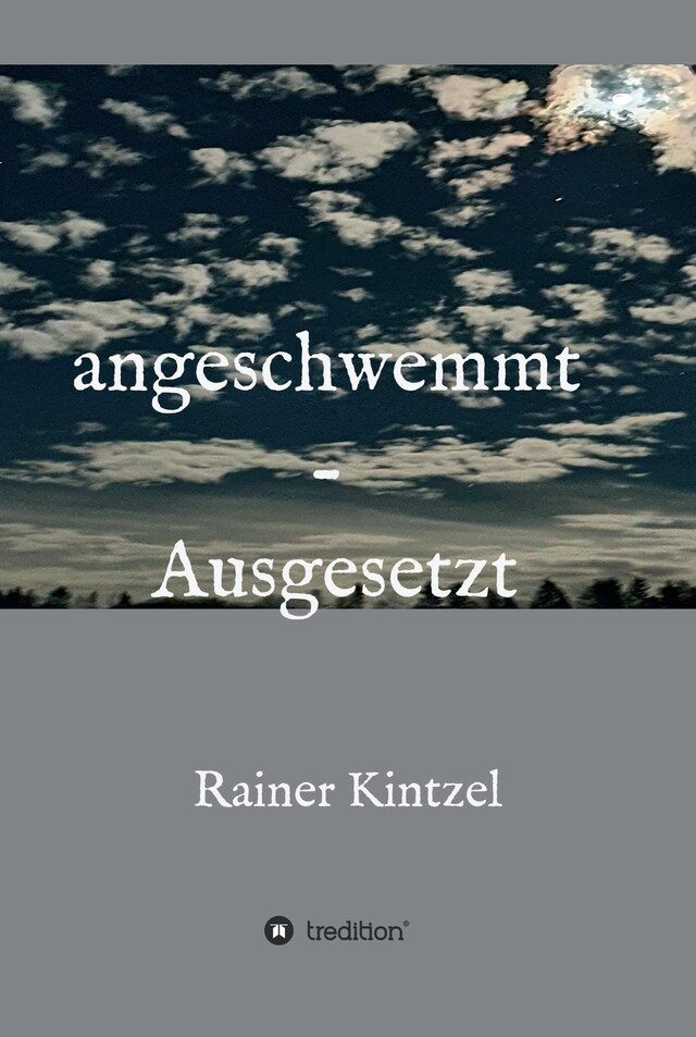 Book cover for angeschwemmt - Ausgesetzt