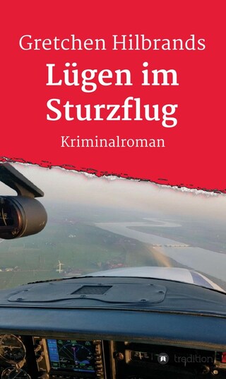 Lügen im Sturzflug bookCoverFor