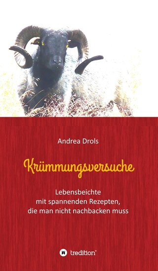 Krümmungsversuche bookCoverFor