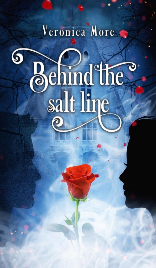 Book cover for Behind the salt line