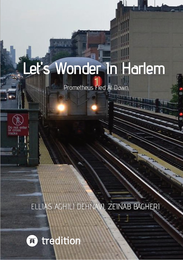 Book cover for Let's Wonder In Harlem