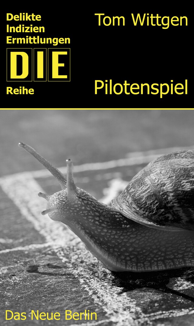 Couverture de livre pour Das Pilotenspiel