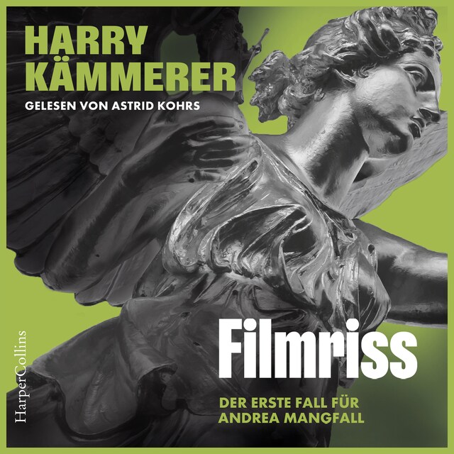 Couverture de livre pour Filmriss (ungekürzt)