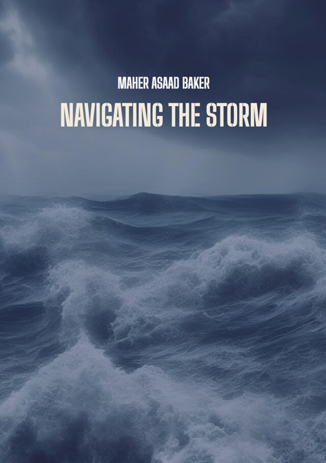 Buchcover für Navigating the storm