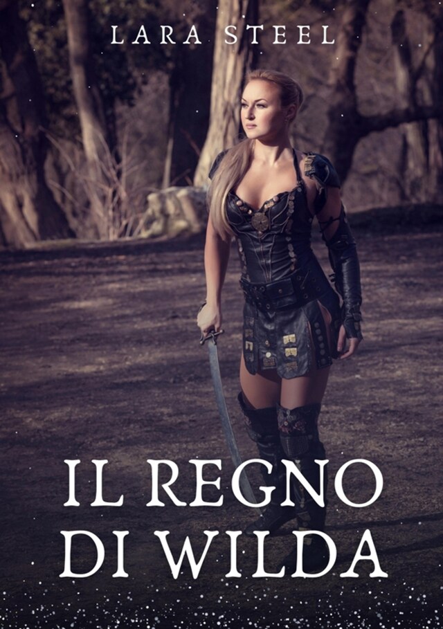 Buchcover für Il Regno di Wilda