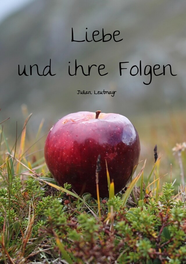 Buchcover für Liebe und ihre Folgen