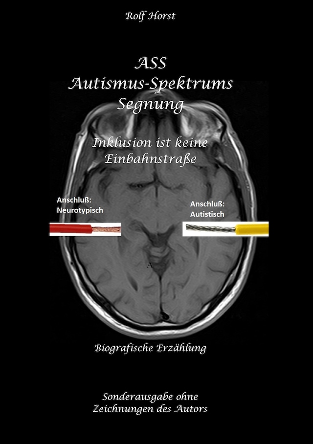 Book cover for ASS Autismus-Spektrums-Segnung - Inklusion ist keine Einbahnstraße: hochfunktionaler Autismus, Mobbing, Trauma, Sucht, Häusliche Gewalt, Psychotherapie, Umzug, Inklusion, Katholische Kirche, Zen