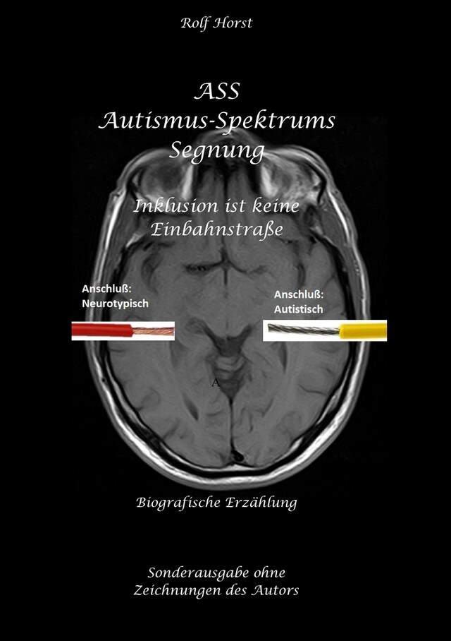 Bogomslag for ASS Autismus-Spektrums-Segnung - Inklusion ist keine Einbahnstraße: hochfunktionaler Autismus, Mobbing, Trauma, Sucht, Häusliche Gewalt, Psychotherapie, Umzug, Inklusion, Katholische Kirche, Zen