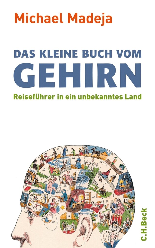 Book cover for Das kleine Buch vom Gehirn