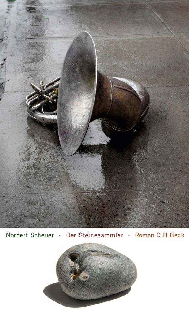 Book cover for Der Steinesammler