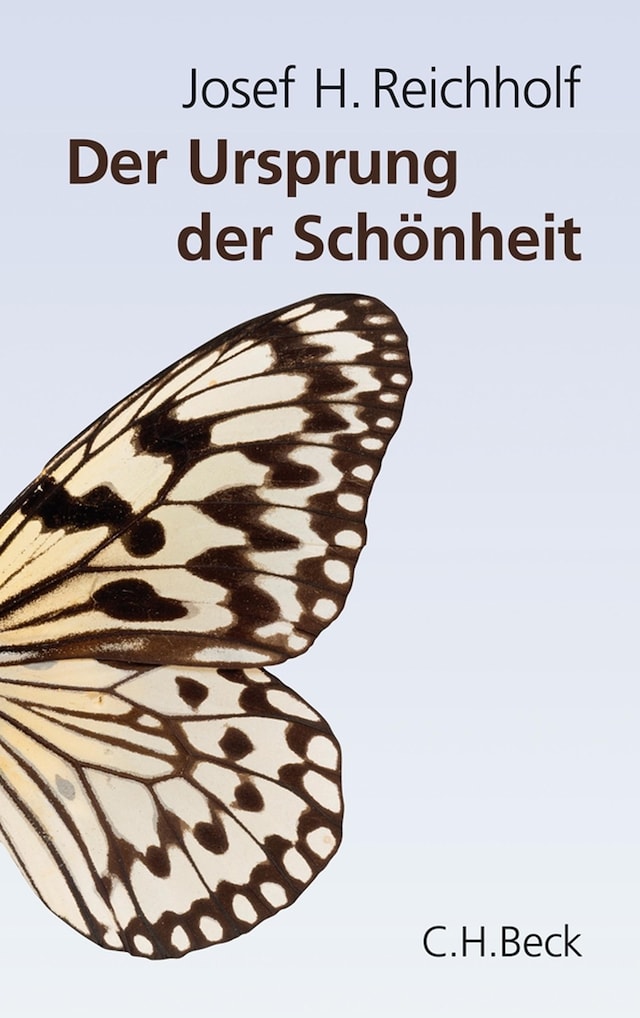 Book cover for Der Ursprung der Schönheit