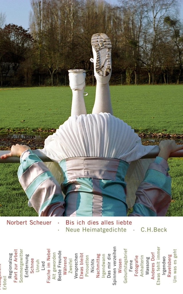 Book cover for Bis ich dies alles liebte