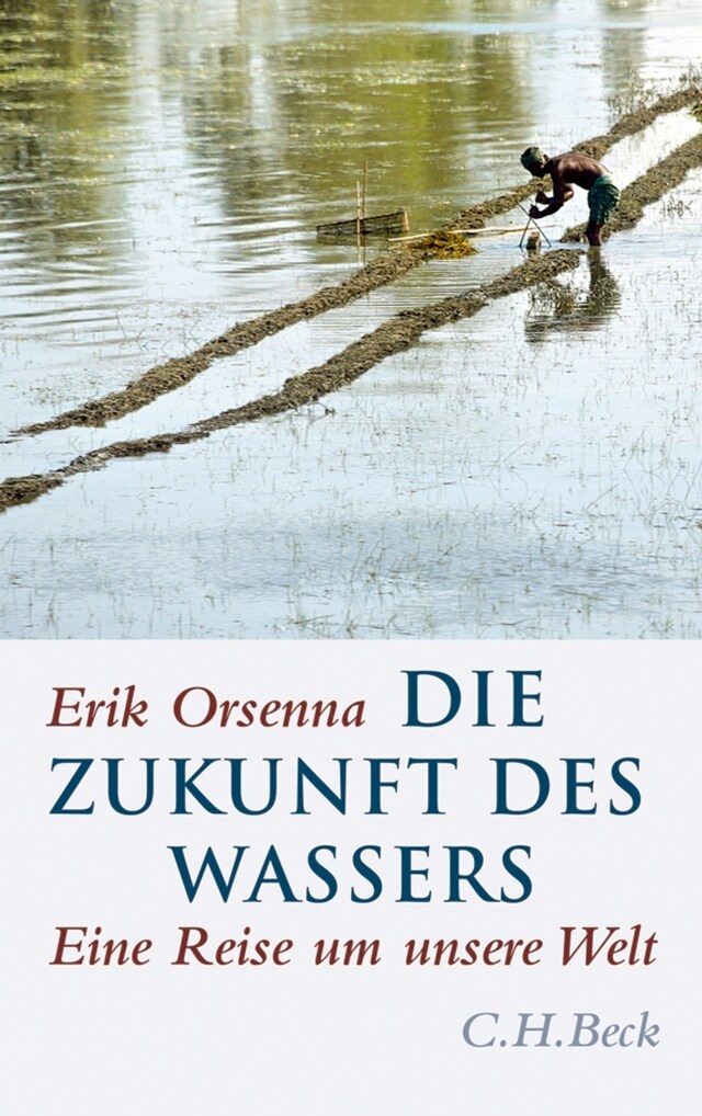 Kirjankansi teokselle Die Zukunft des Wassers