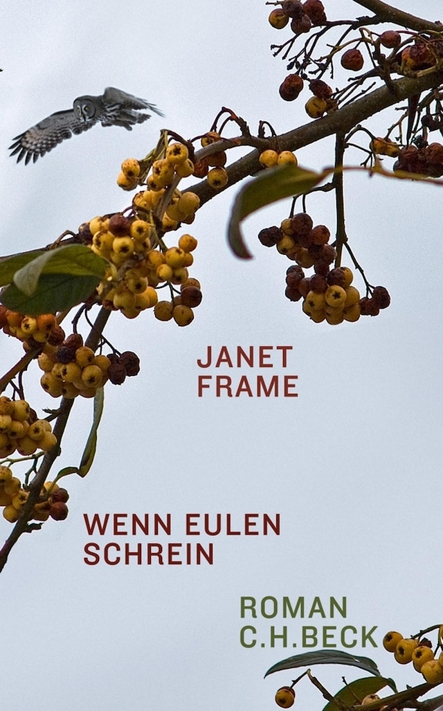 Book cover for Wenn Eulen schrein