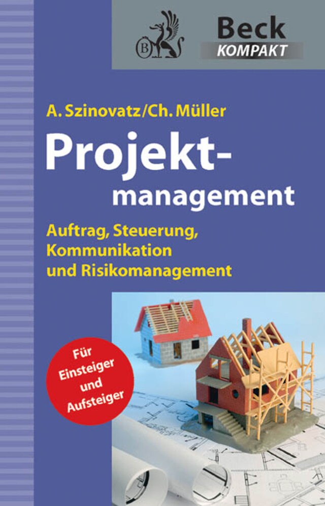 Book cover for Projektmanagement