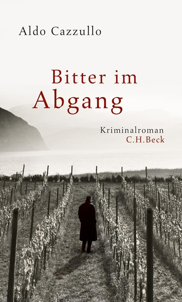 Book cover for Bitter im Abgang