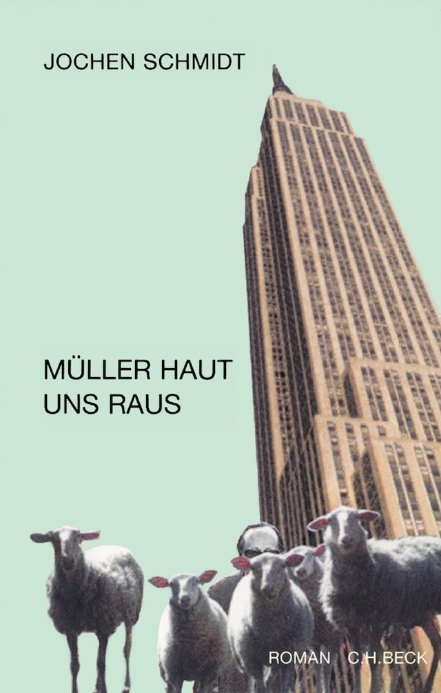 Boekomslag van Müller haut uns raus