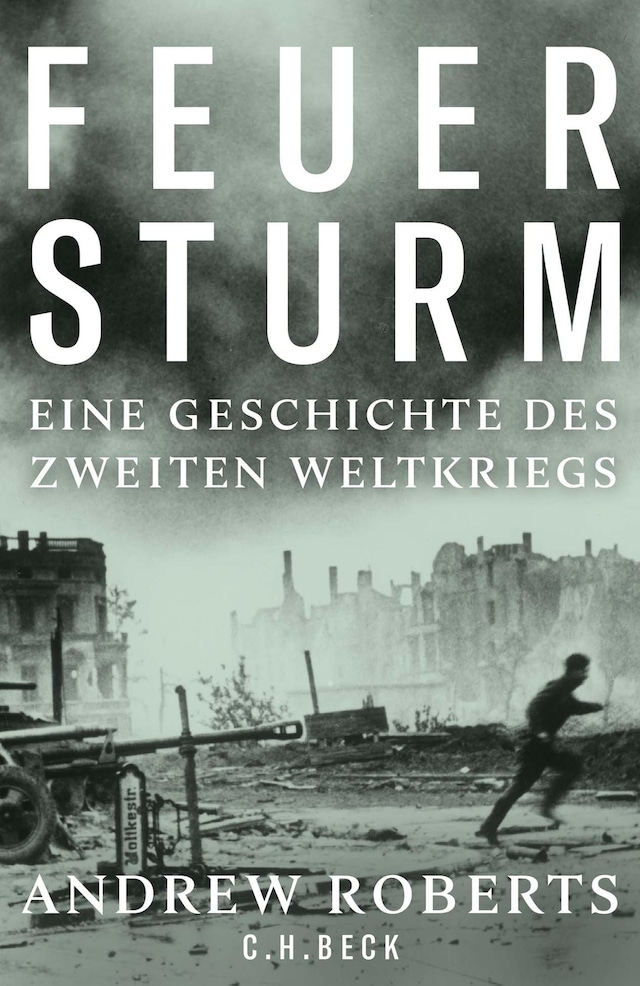 Book cover for Feuersturm