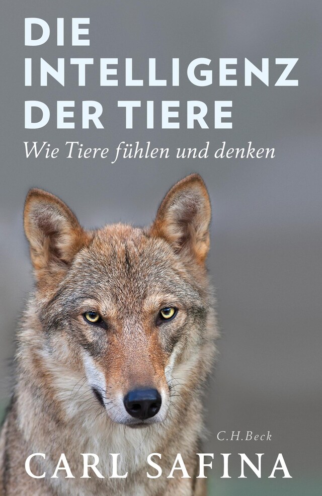 Bogomslag for Die Intelligenz der Tiere