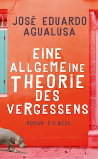 Eine allgemeine Theorie des Vergessens