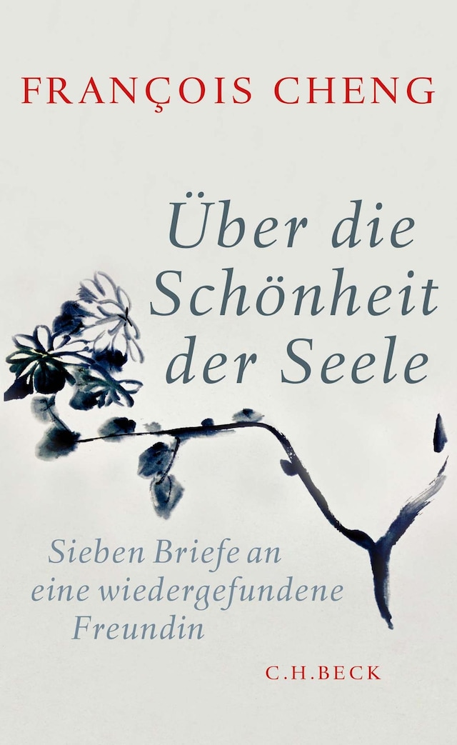 Book cover for Über die Schönheit der Seele