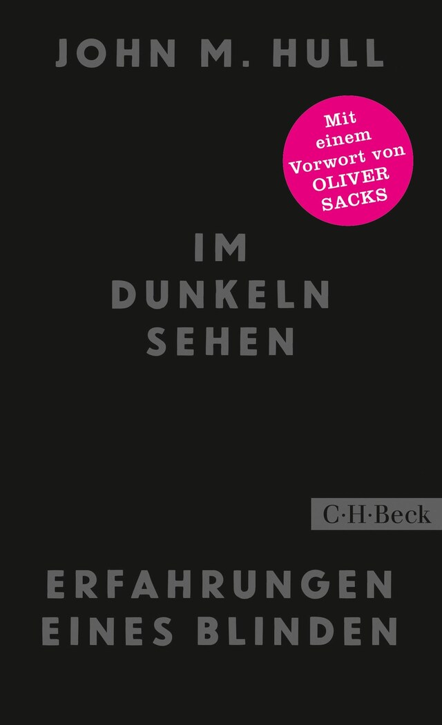 Book cover for Im Dunkeln sehen