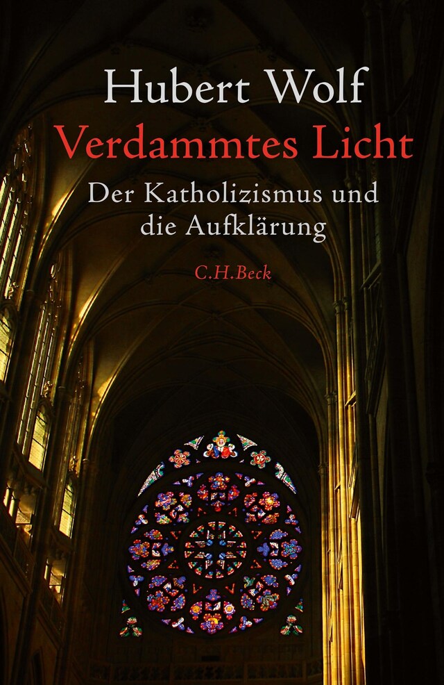 Book cover for Verdammtes Licht