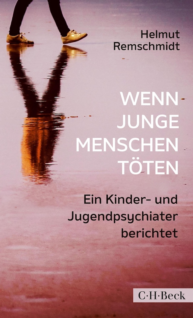 Book cover for Wenn junge Menschen töten