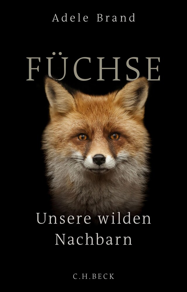 Book cover for Füchse