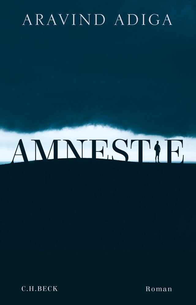 Book cover for Amnestie
