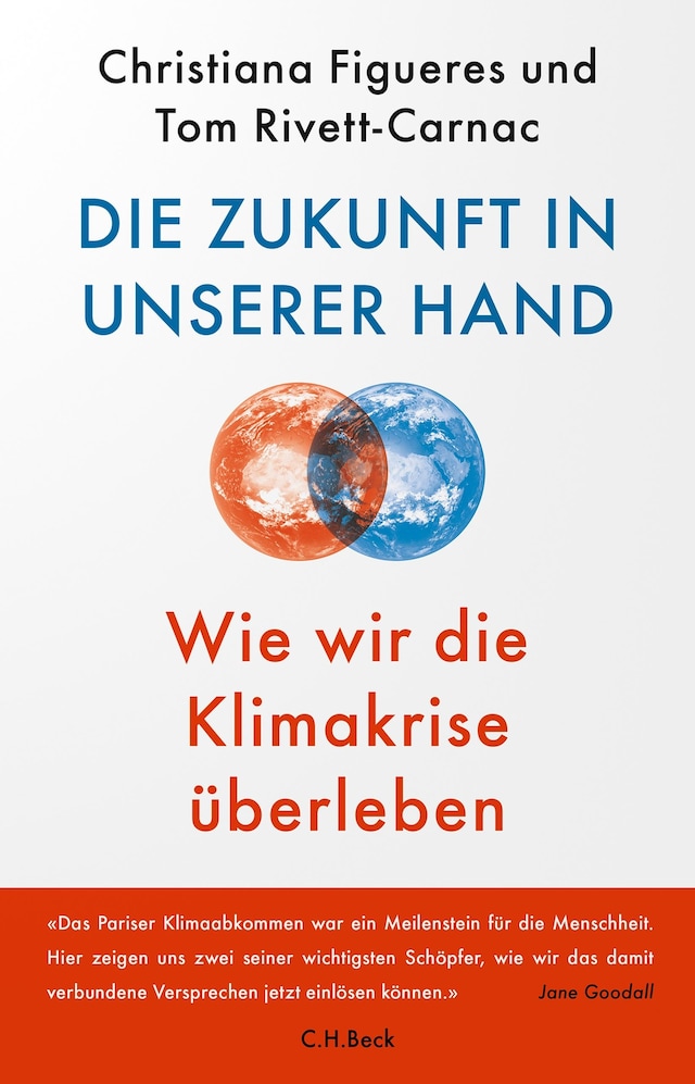 Book cover for Die Zukunft in unserer Hand