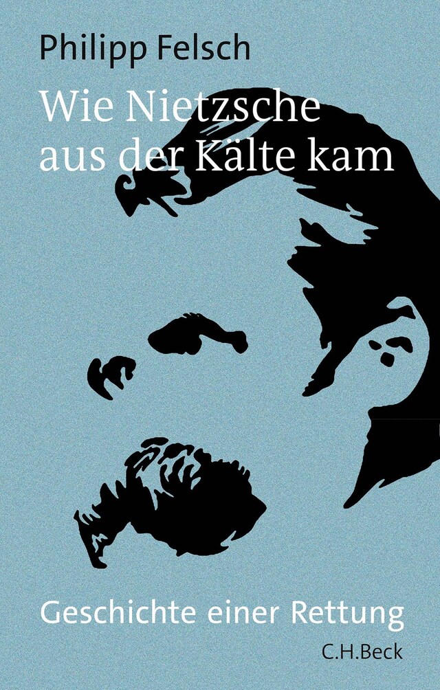 Book cover for Wie Nietzsche aus der Kälte kam