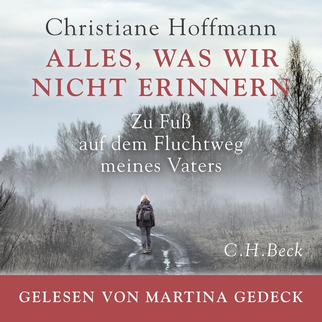 Portada de libro para Alles, was wir nicht erinnern