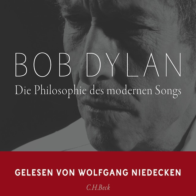 Buchcover für Die Philosophie des modernen Songs