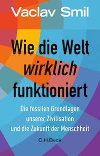 Wie die Welt wirklich funktioniert