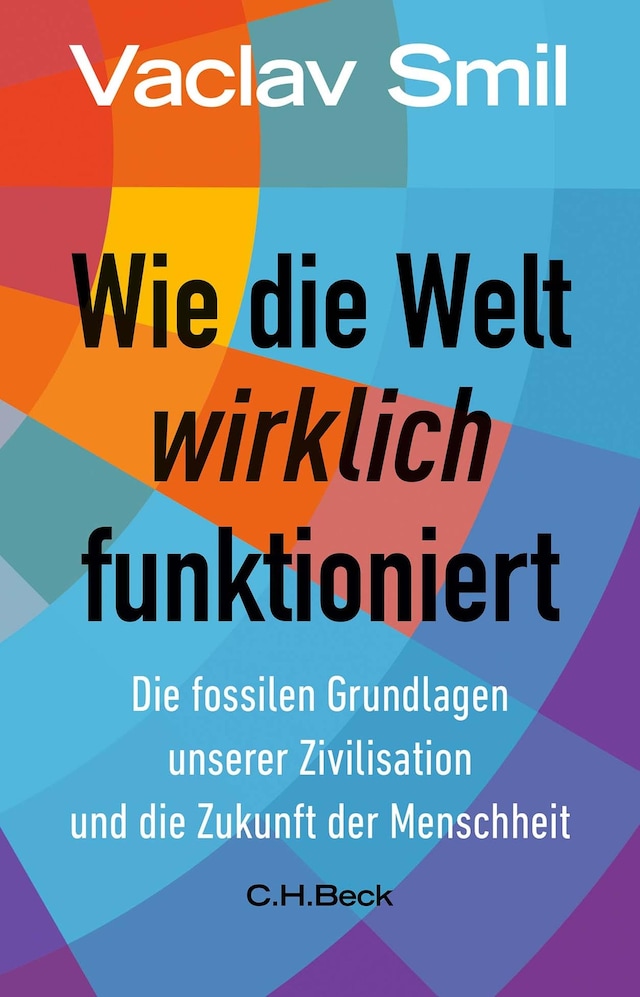 Boekomslag van Wie die Welt wirklich funktioniert