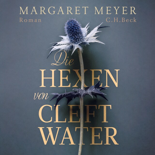 Buchcover für Die Hexen von Cleftwater