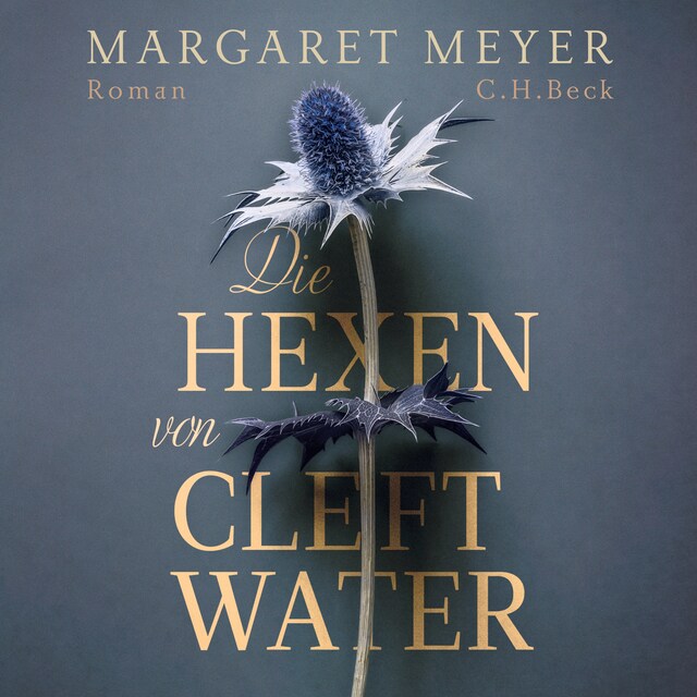 Buchcover für Die Hexen von Cleftwater