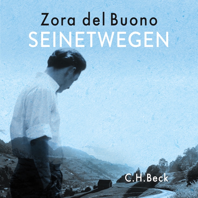 Book cover for Seinetwegen