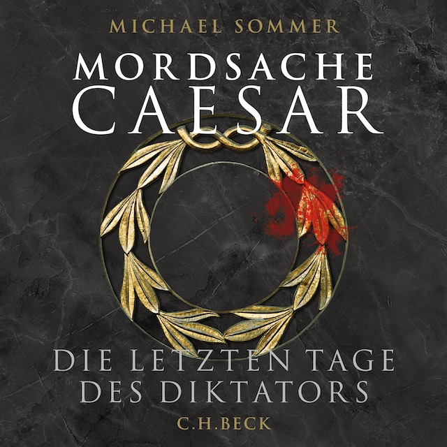 Book cover for Mordsache Caesar